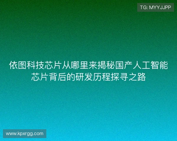 依图科技芯片从哪里来揭秘国产人工智能芯片背后的研发历程探寻之路
